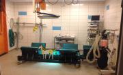 Operační sál pro koně